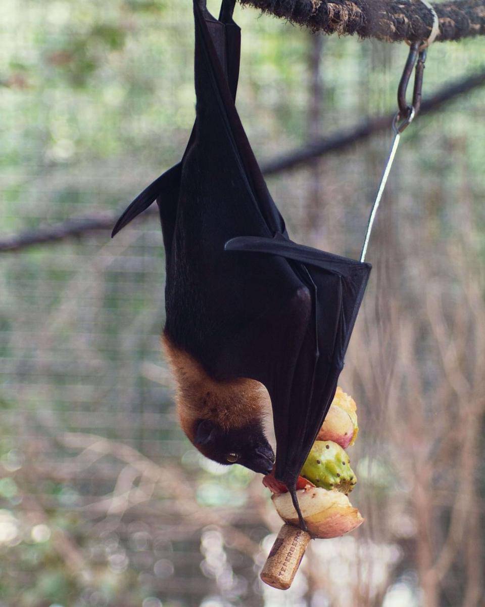 Pexels/Itai Perelman Nasich