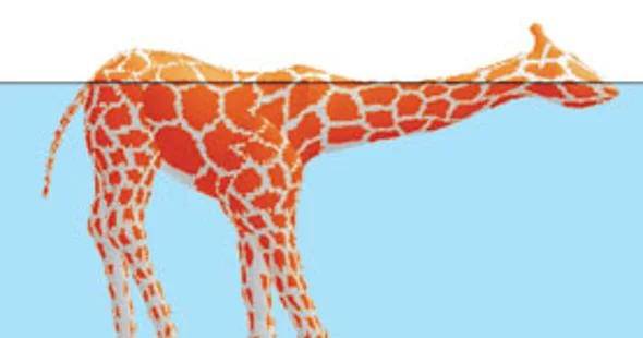 scientificamerican.com