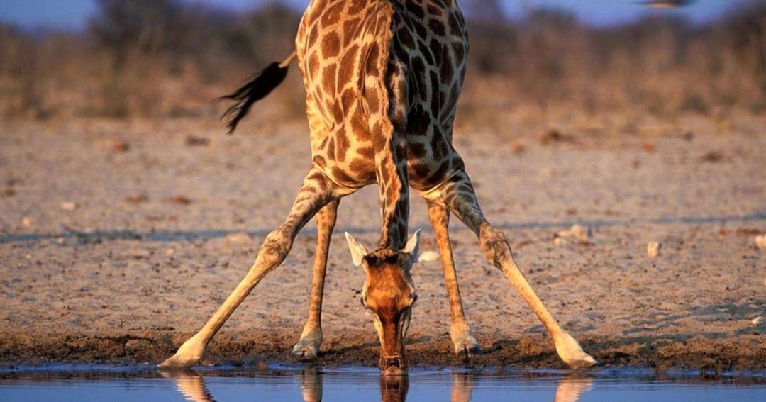 nationalgeographic.com