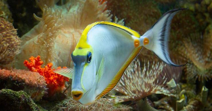 Freepik/kuritafsheen77