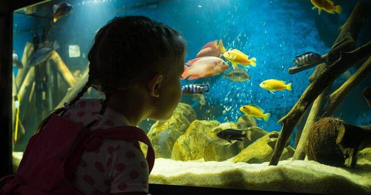 Freepik/user21856044