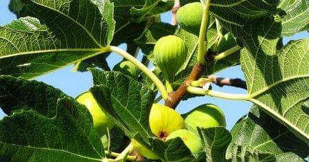 Pinterest/Jay Simmons