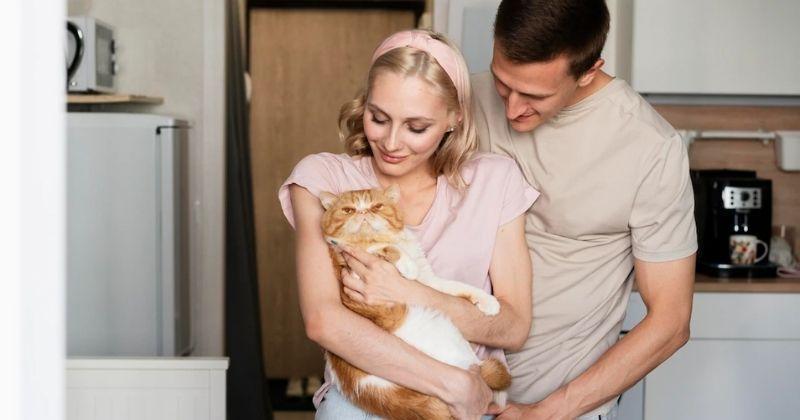 10 Cara Melatih Kucing agar Nurut dan Pintar
