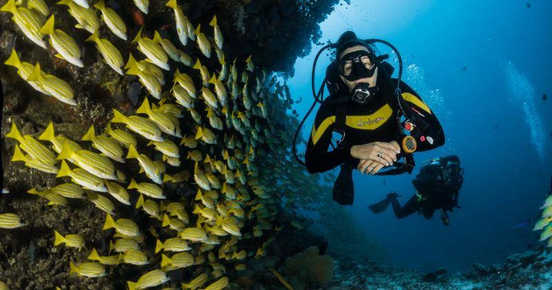 Bolehkah Olahraga Scuba Diving saat Hamil?
