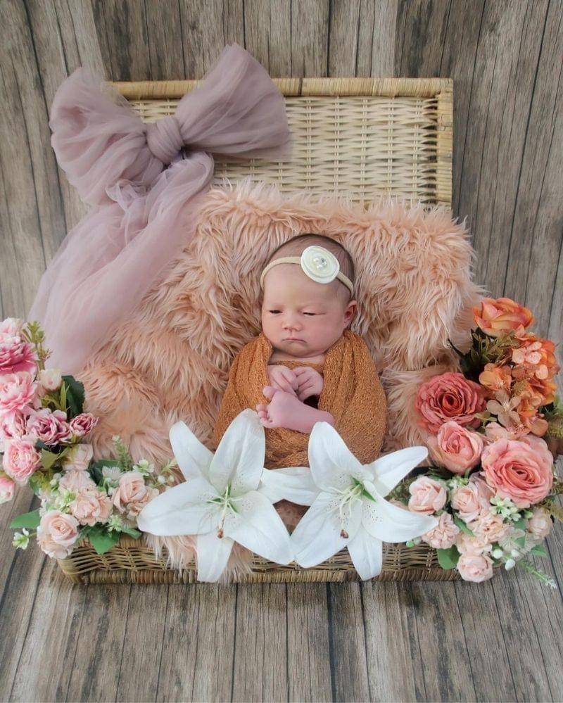 Instagram.com/carlomilk