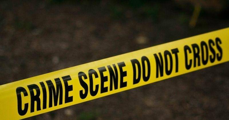 Pexels/Kat-wilcox-329096