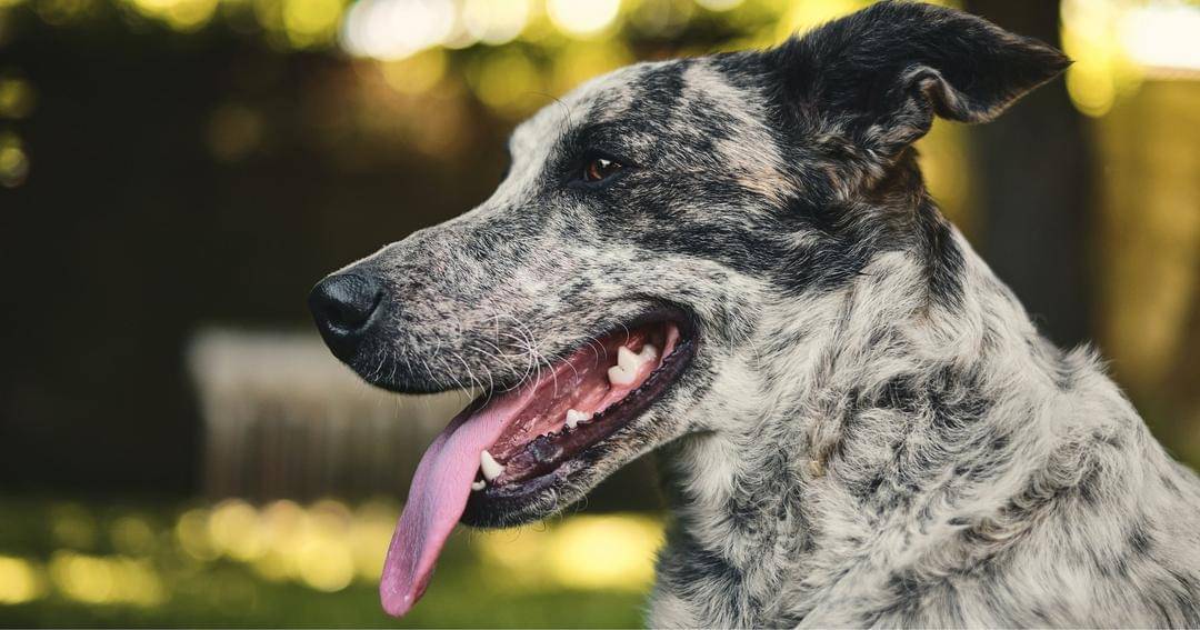 Pexels/marco allasio