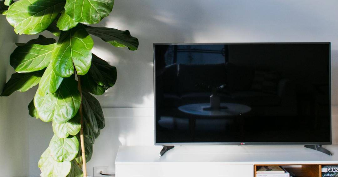 Pexels/Rachel Claire