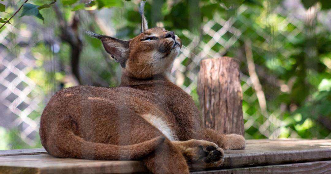 Unsplash/Joshua J. Cotten