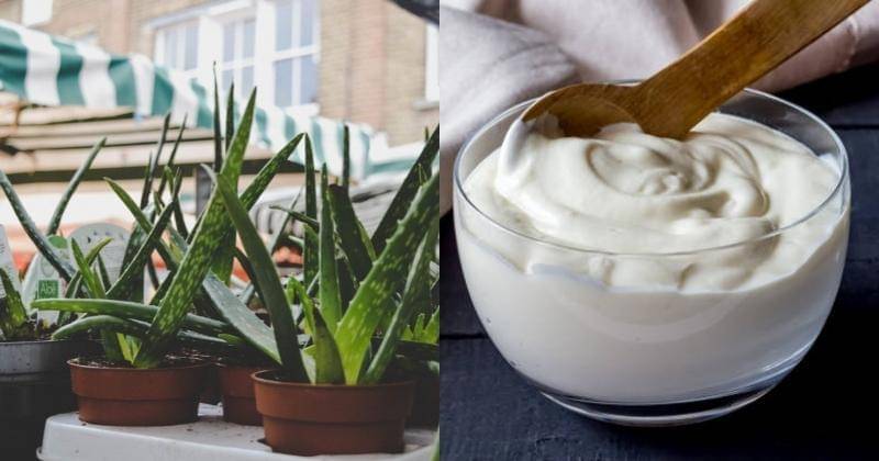 Pexels/Cintia Siqueira & iStock