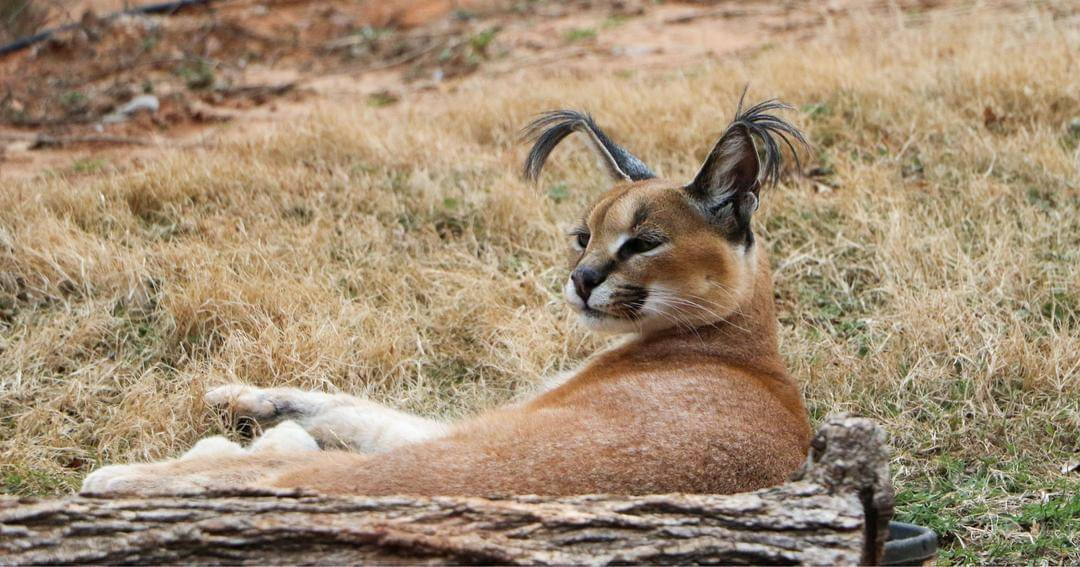 Unsplash/Chandler Cruttenden