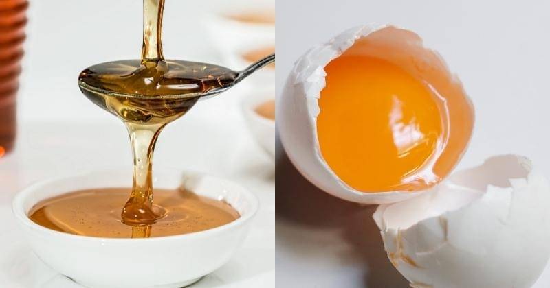 Pexels/Pixabay & Pexels/Klaus Nielsen