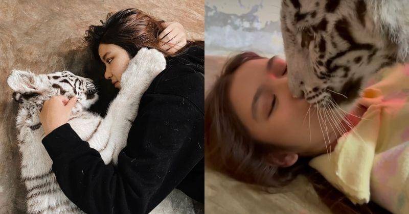 Instagram.com/tiaraandini