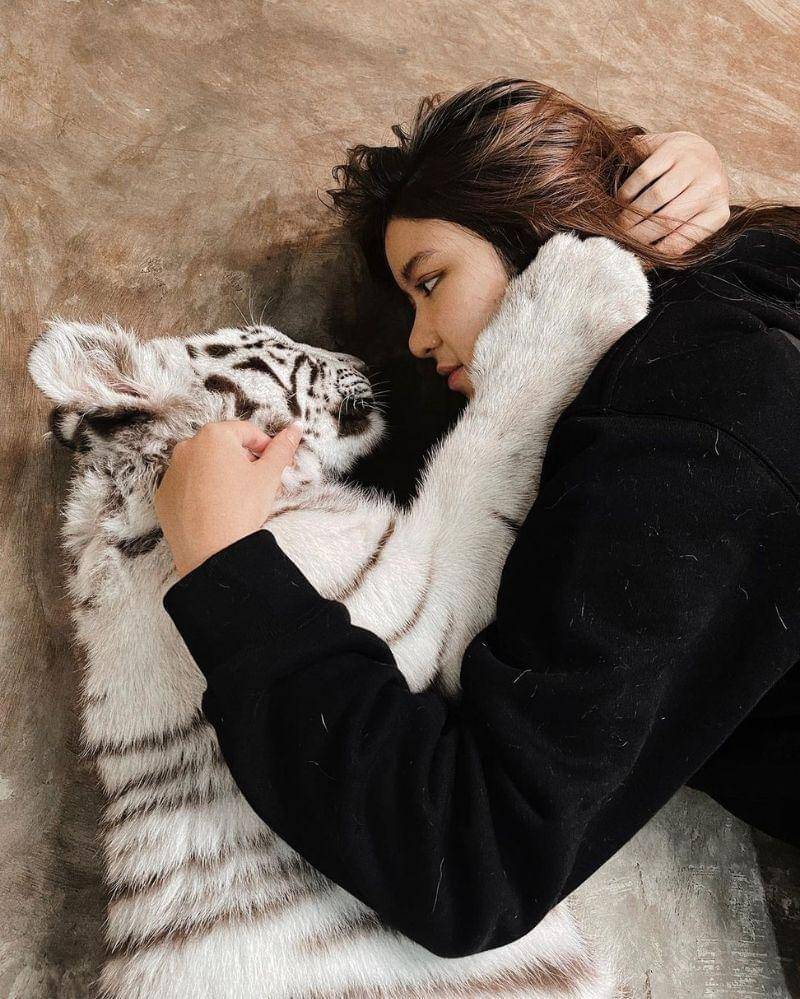 Instagram.com/tiaraandini