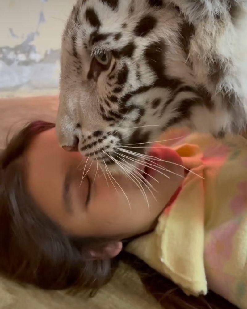 Instagram.com/tiaraandini