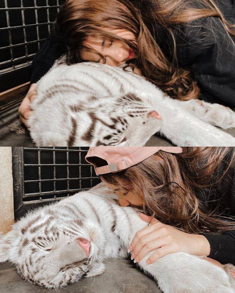 Instagram.com/tiaraandini