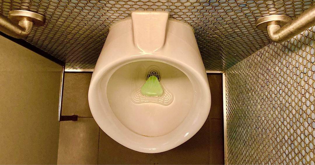 Unsplash/Ian Kirkland