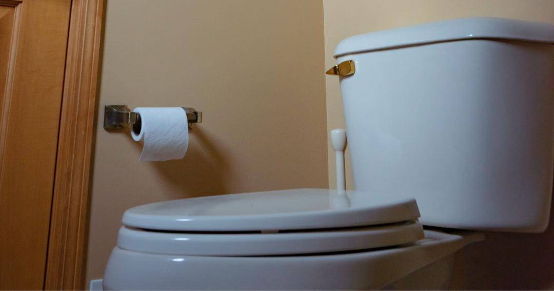 Unsplash/Alex Simpson