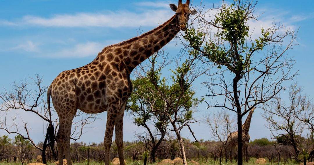 Pexels/Nicolette Leonie Villavicencio