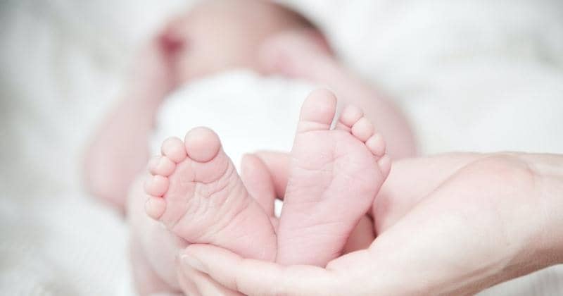 Pexels/Rene Asmussen