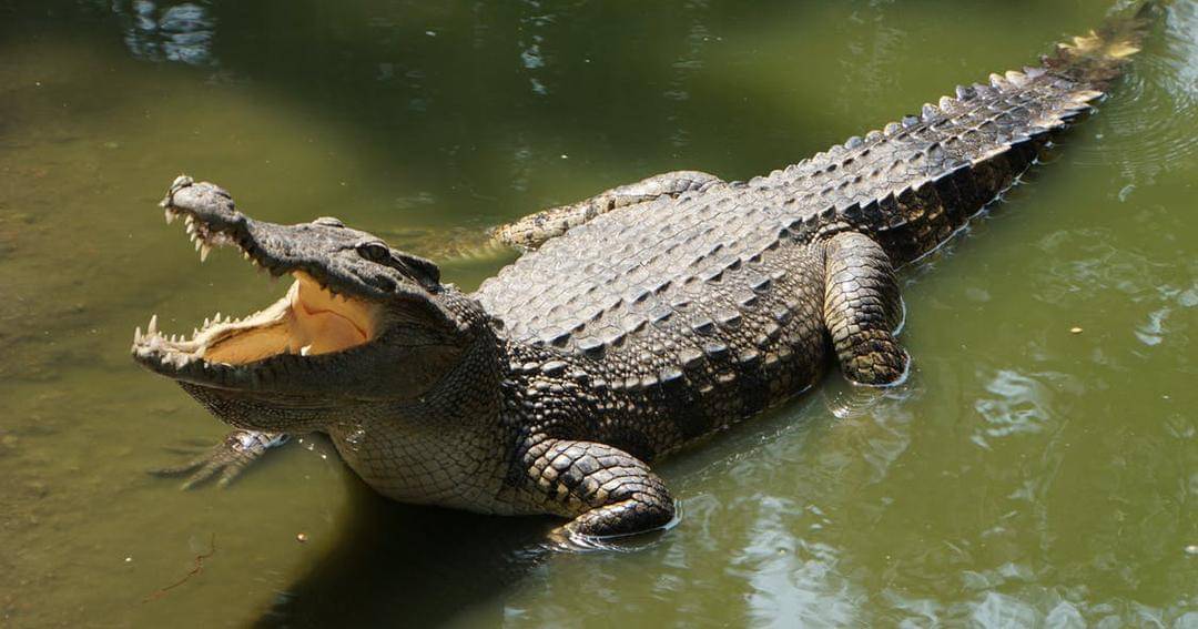 Pexels/sergey mishakov