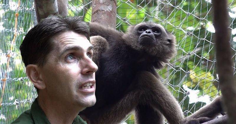 Instagram.com/chaneekalaweit