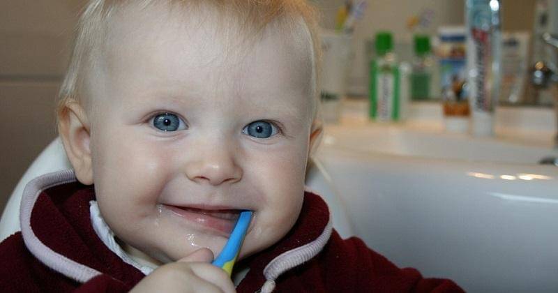 Pixabay/Jenny Fried Richs