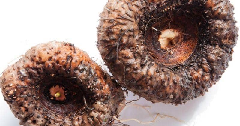 nusagro.com