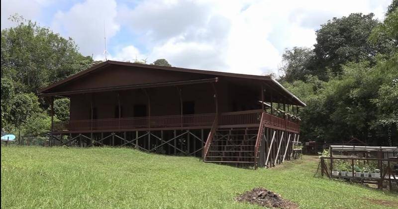 Youtube.com/Chanee Kalaweit