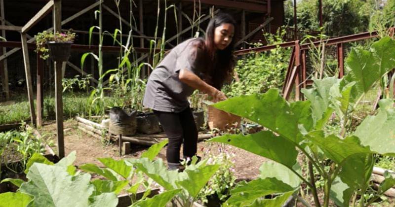 Youtube.com/Prada Kalaweit