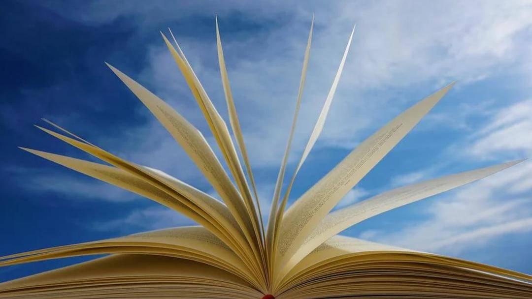 Pixabay/kranich17-11197573