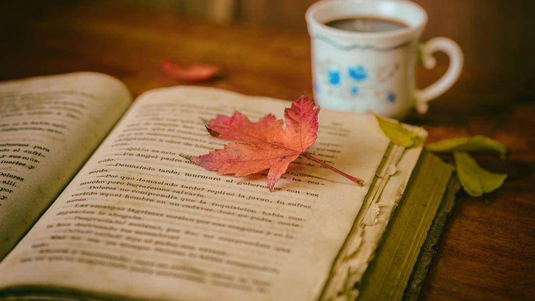 Pixabay/josealbafotos-1624766