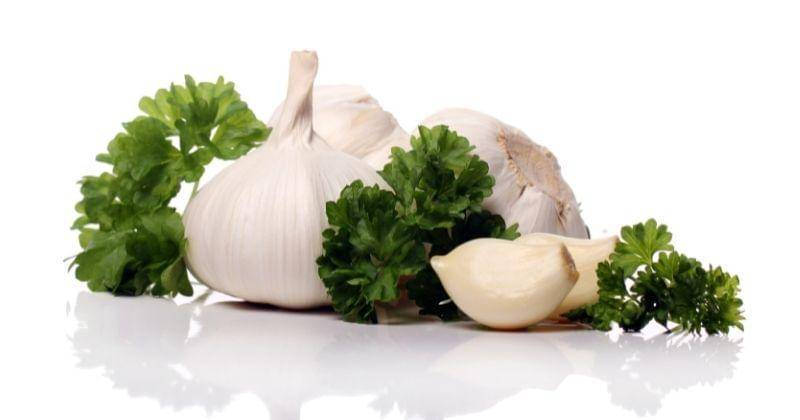 Freepik/Racool_studio