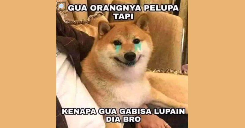 Twitter.com/penerapanbacot