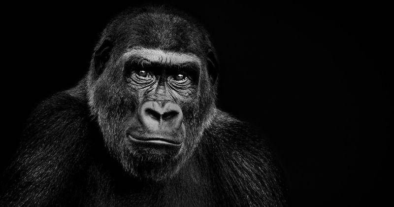 Freepik.com/rawpixel.com