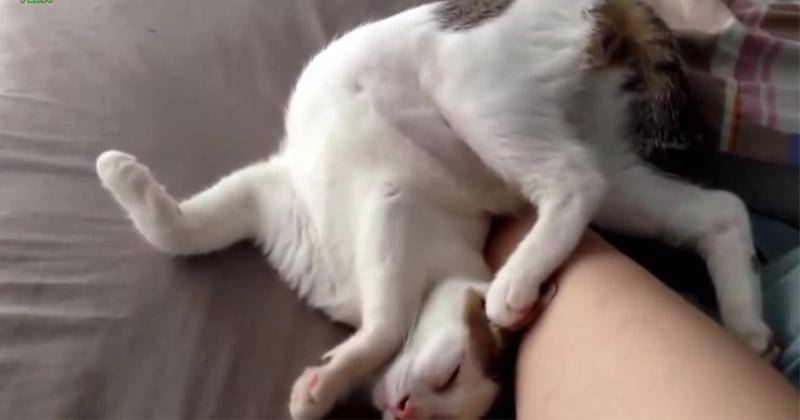 YouTube.com/funnyplox