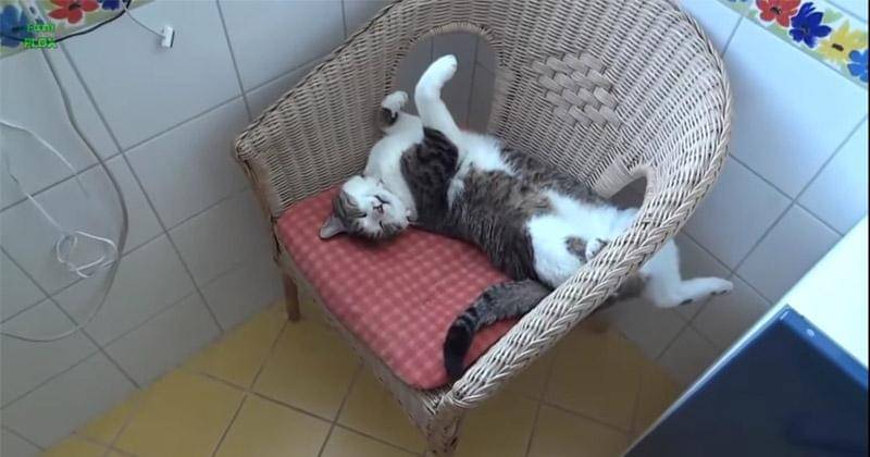 YouTube.com/funnyplox