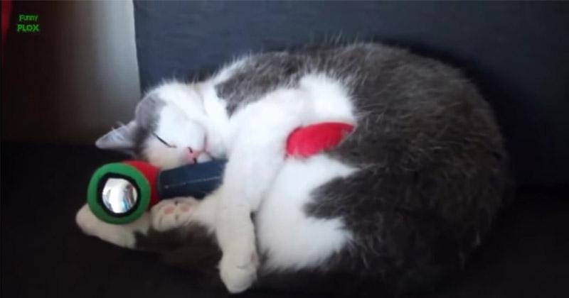 YouTube.com/funnyplox