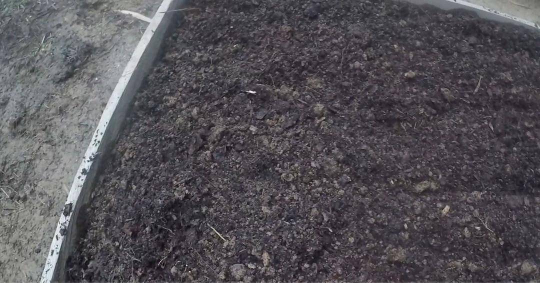 Youtube.com/Prada Kalaweit