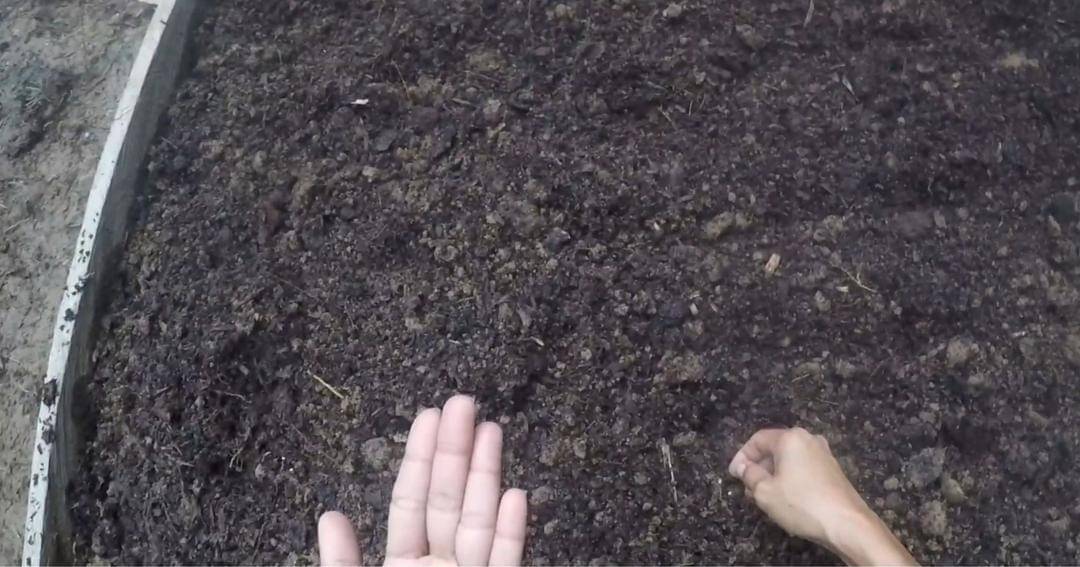 Youtube.com/Prada Kalaweit