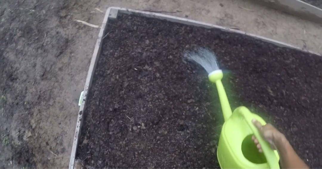 Youtube.com/Prada Kalaweit