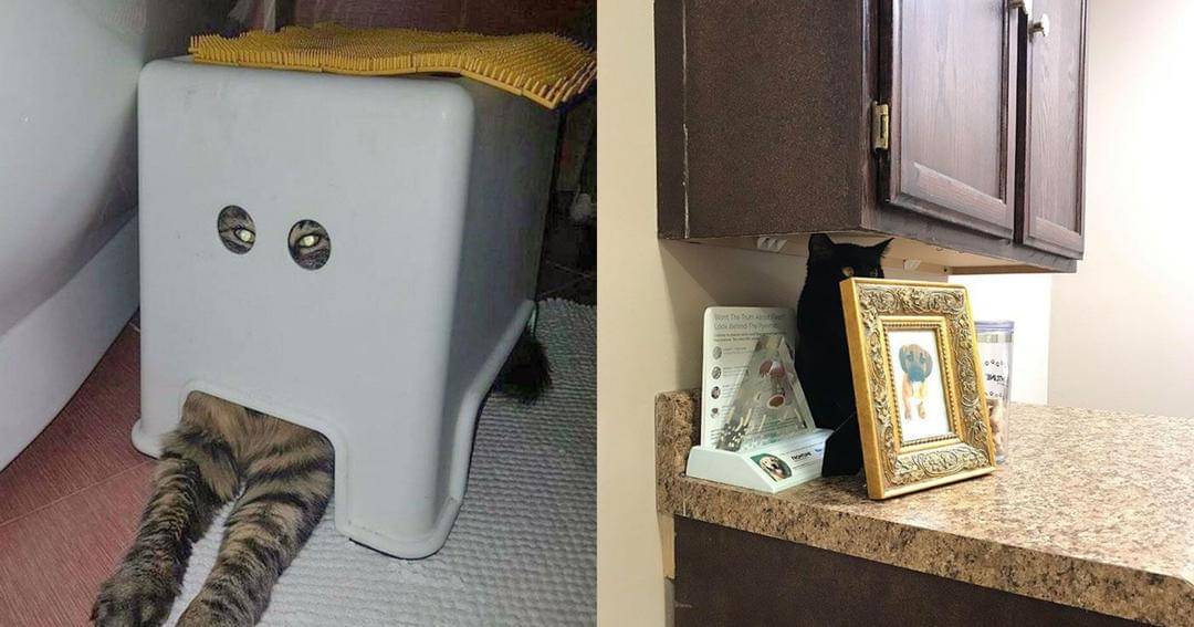 Reddit.com/itskaymay | Imgur.com/deleted