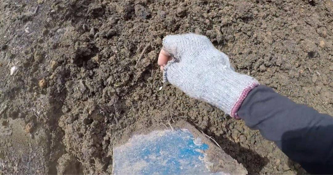 Youtube.com/Prada Kalaweit