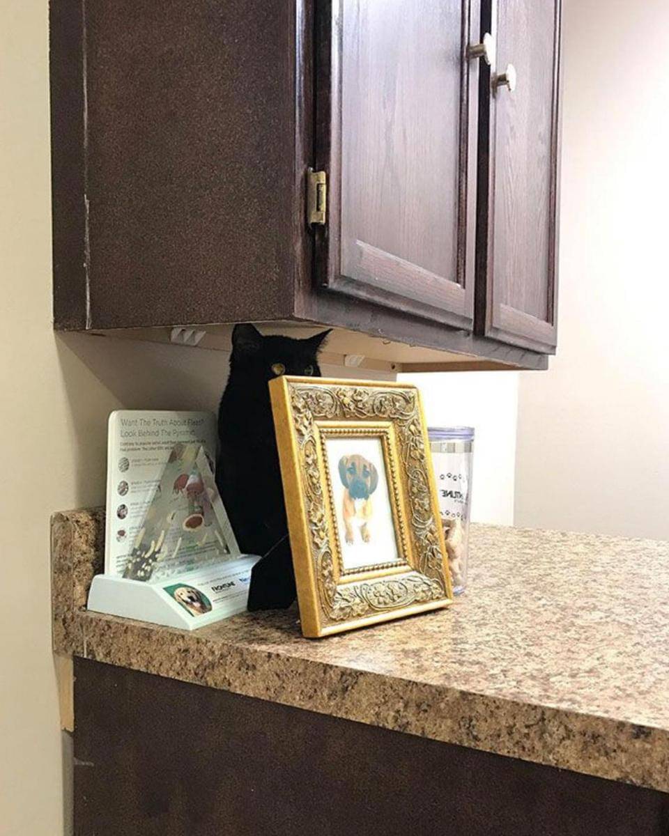 Reddit.com/itskaymay