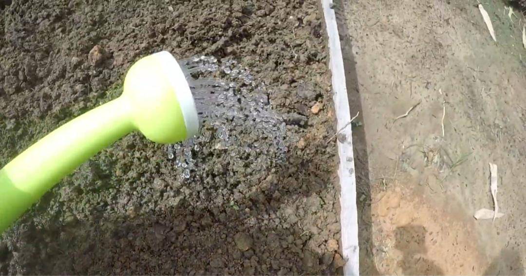 Youtube.com/Prada Kalaweit