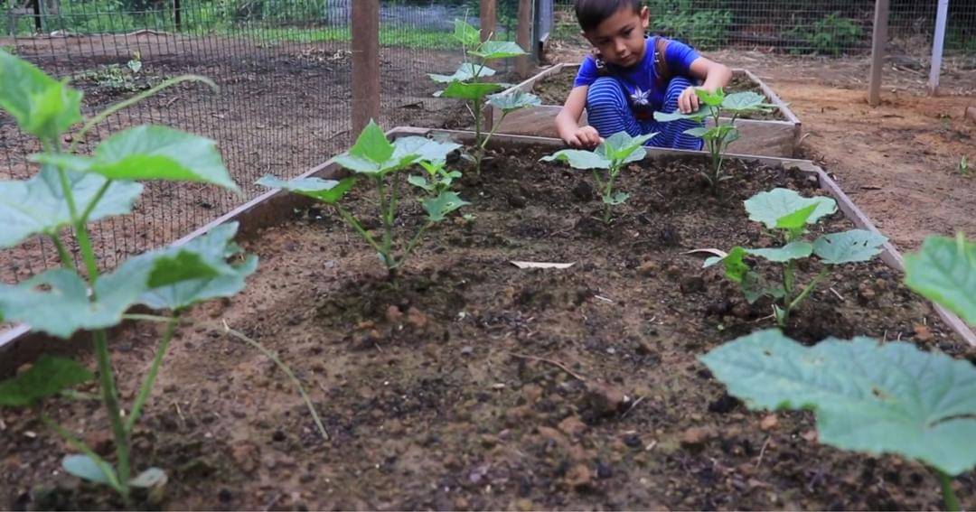 Youtube.com/Prada Kalaweit