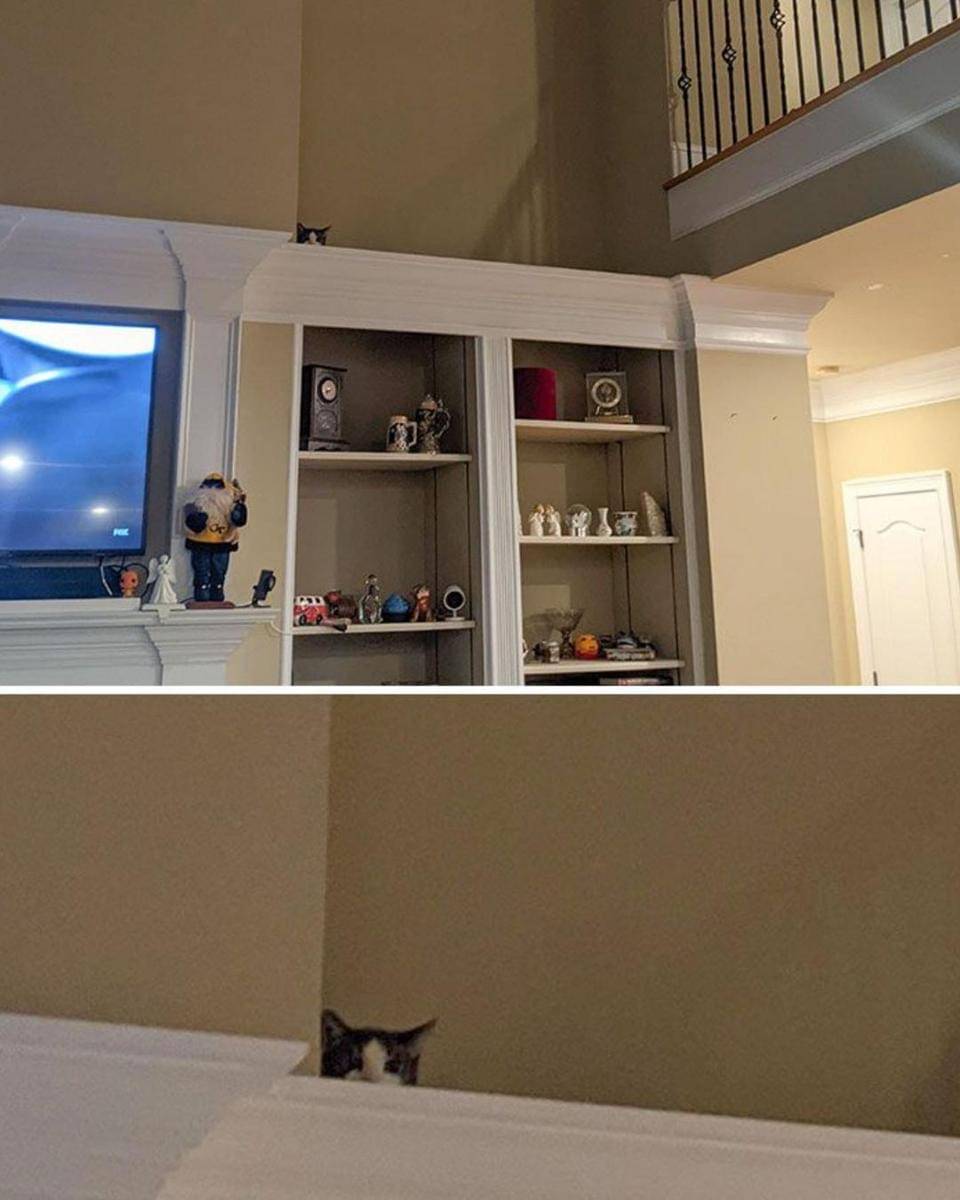 Reddit.com/Ellekm730