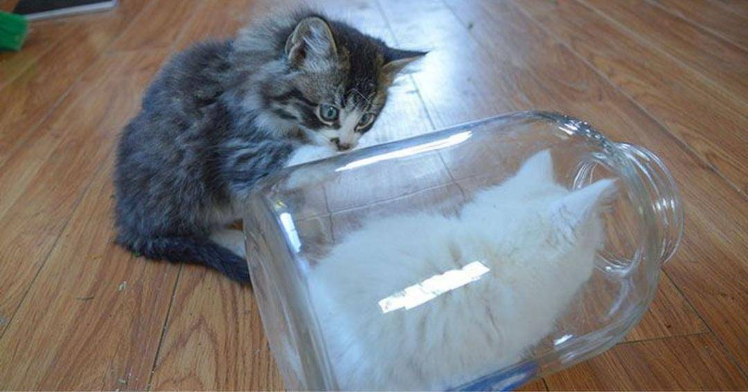 Reddit.com/MyLittleGirl