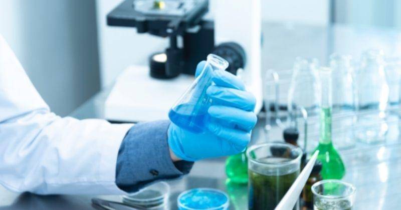 Pexels/Chokniti-khongchum-1197604