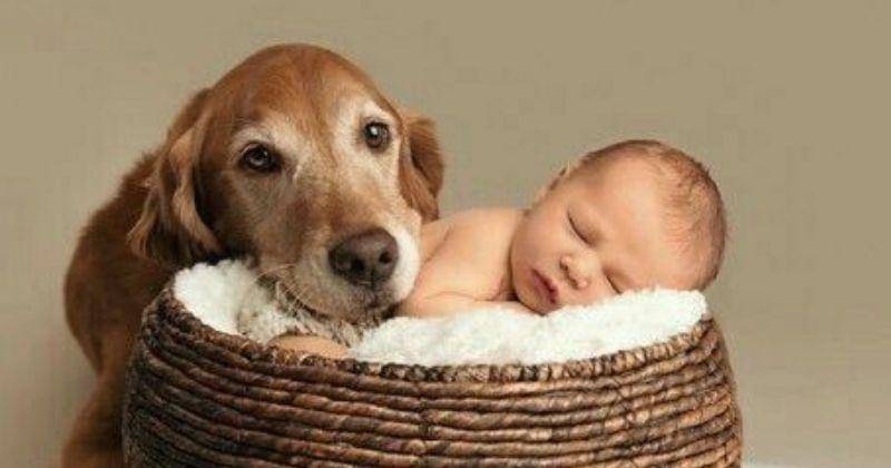 Pinterest.com/Poldi Kinzel